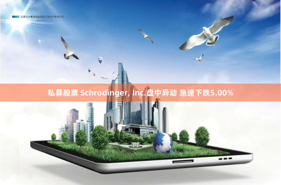 私募股票 Schrodinger, Inc.盘中异动 急速下跌5.00%