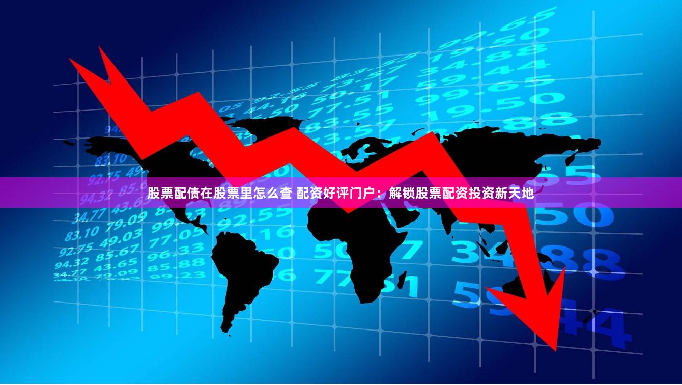 股票配债在股票里怎么查 配资好评门户:解锁股票配资投资新天地