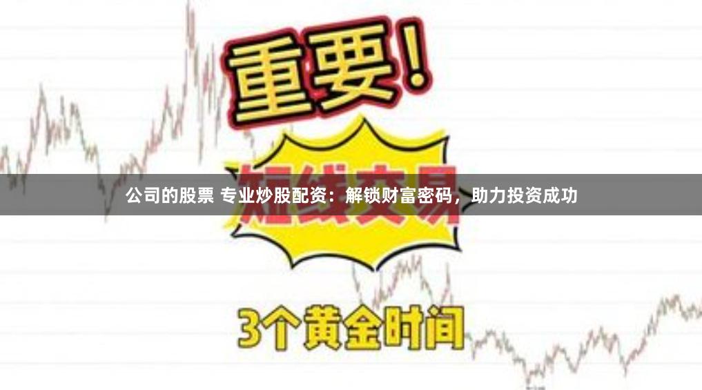 公司的股票 专业炒股配资:解锁财富密码,助力投资成功