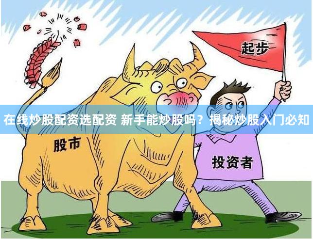 在线炒股配资选配资 新手能炒股吗?揭秘炒股入门必知